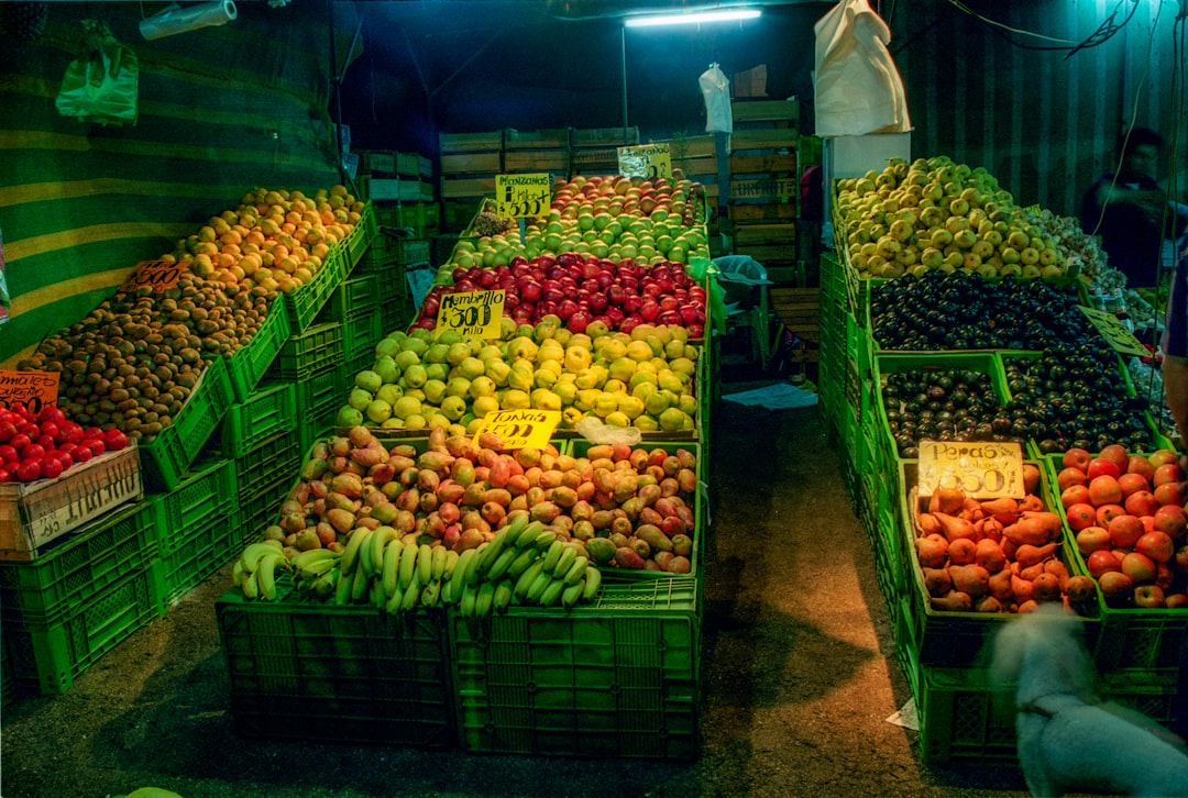 Uncover Iquique: A Coastal Gem Full of History and Adventure