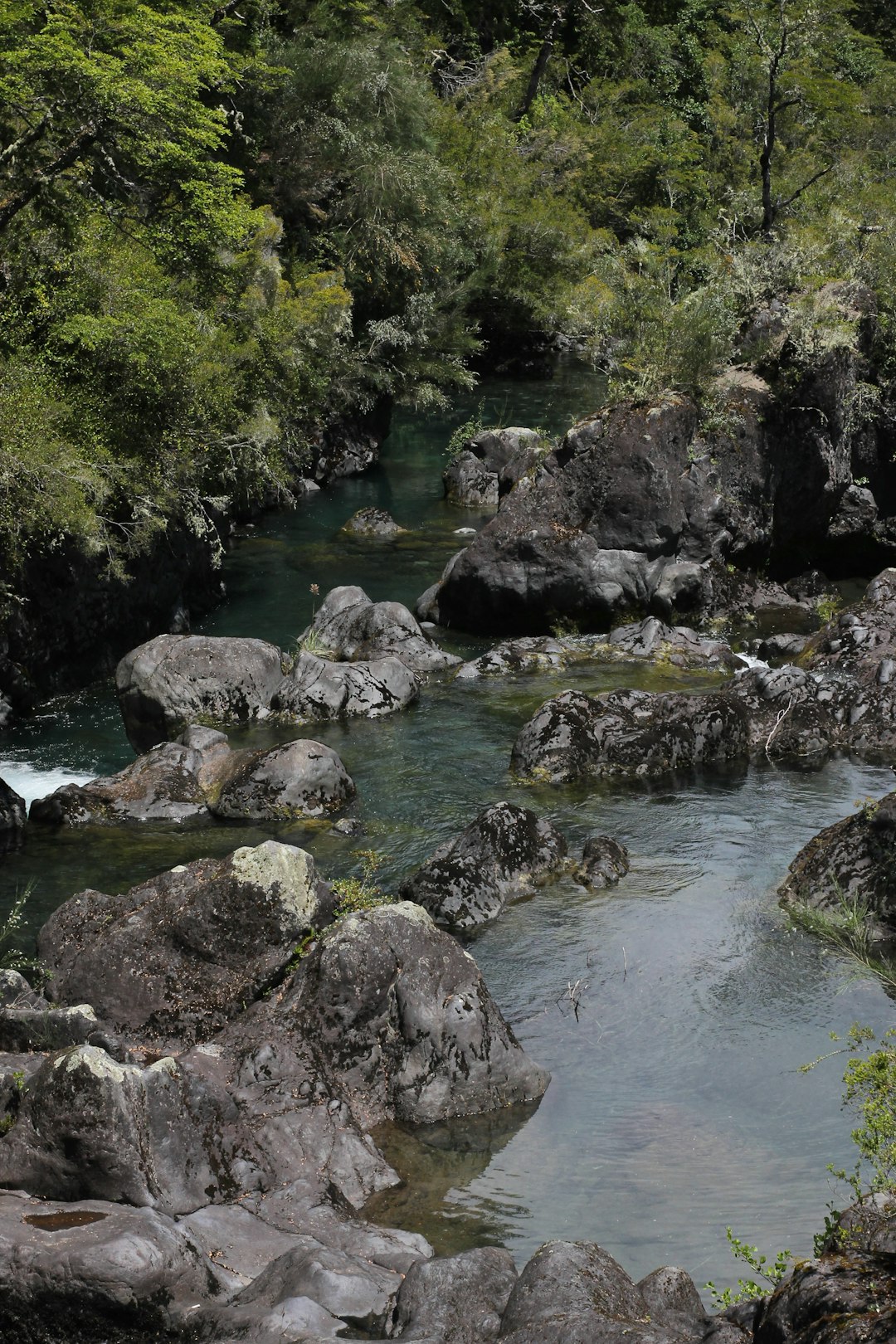 Explore Puerto Varas: A Gem by Lake Llanquihue