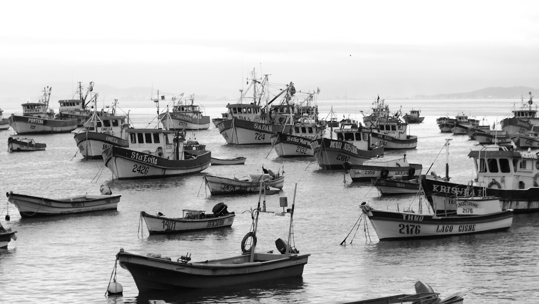 Discover Talcahuano: A Coastal Gem in Chile's Biobío