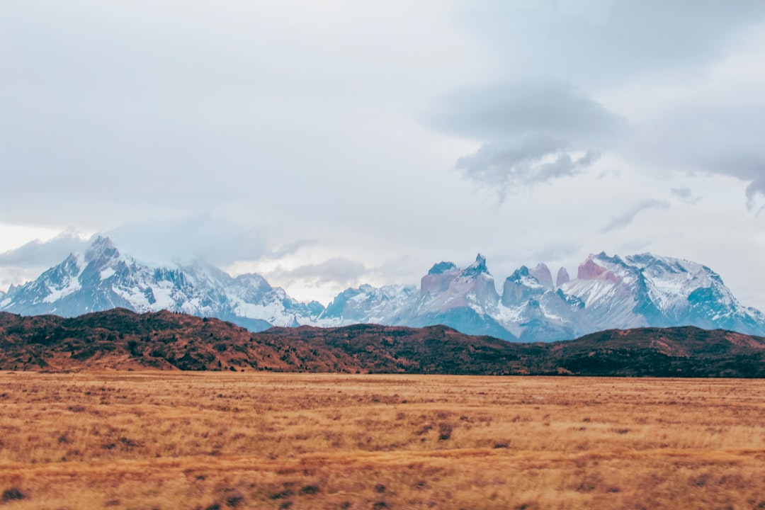 Explore Cohauque: A Hidden Gem in Chile's Los Lagos