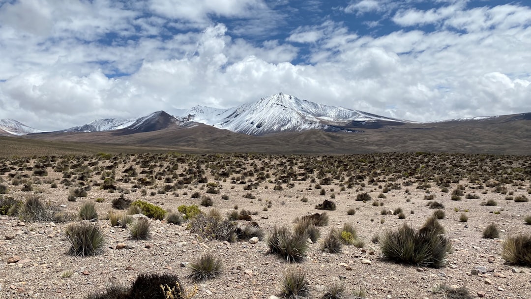 Putre Travel Guide: Discover the Charm of Chile's Andes