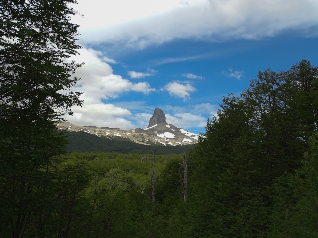 Exploring Puyehue: Nature, Culture, and Thermal Springs