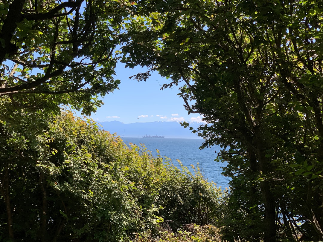 Uncover Malleco: A Hidden Gem in Chile's Araucanía