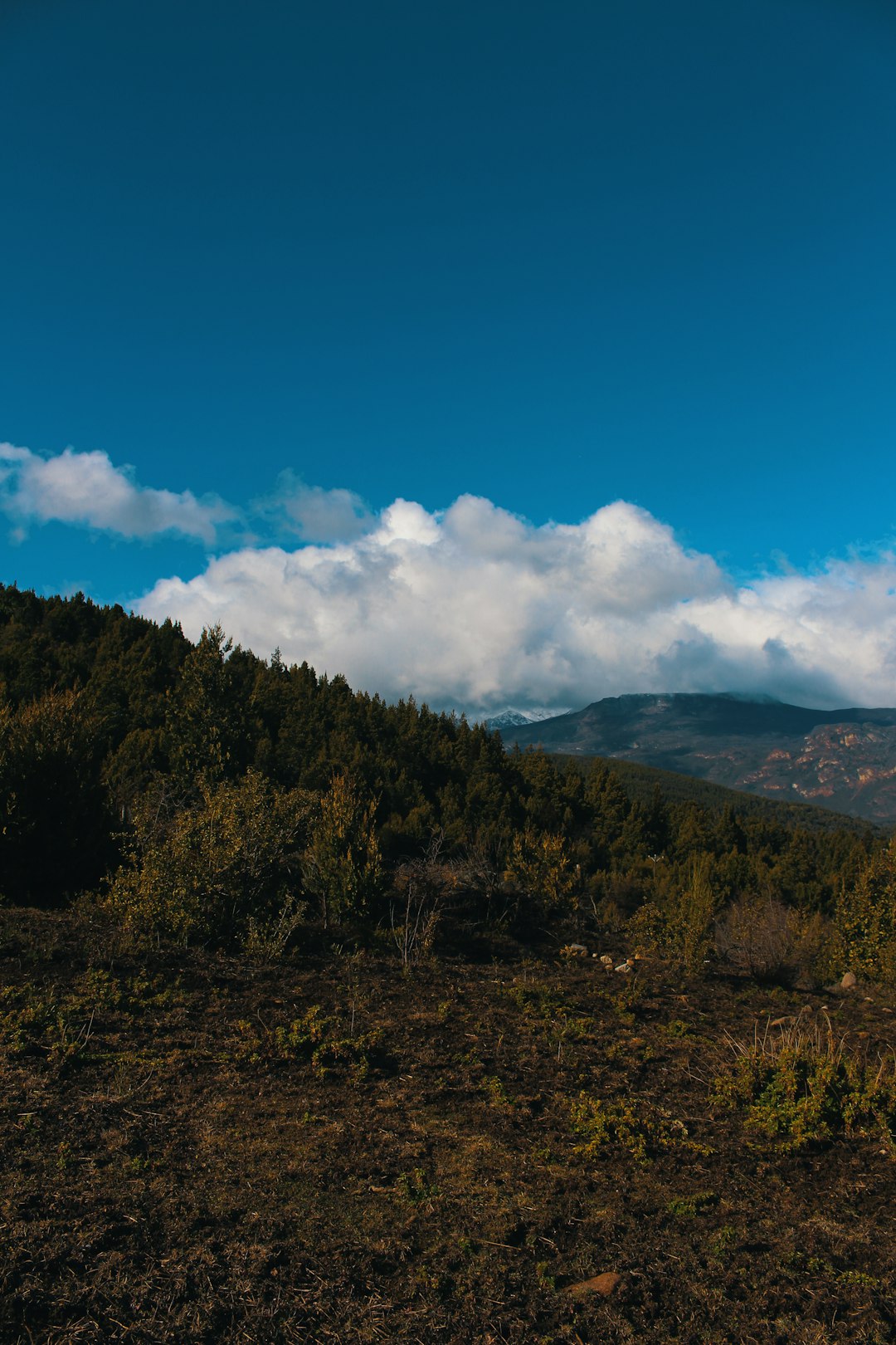 Explore Cerro Castillo: Chile’s Hidden Paradise Awaits