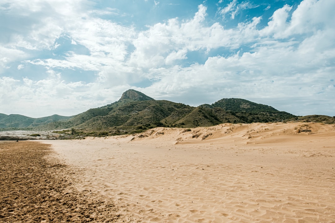 Explore Cerca del Mar: Chile's Hidden Coastal Paradise