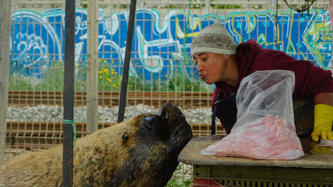 Valparaíso Travel Guide: Explore Chile's Artistic Coastal City