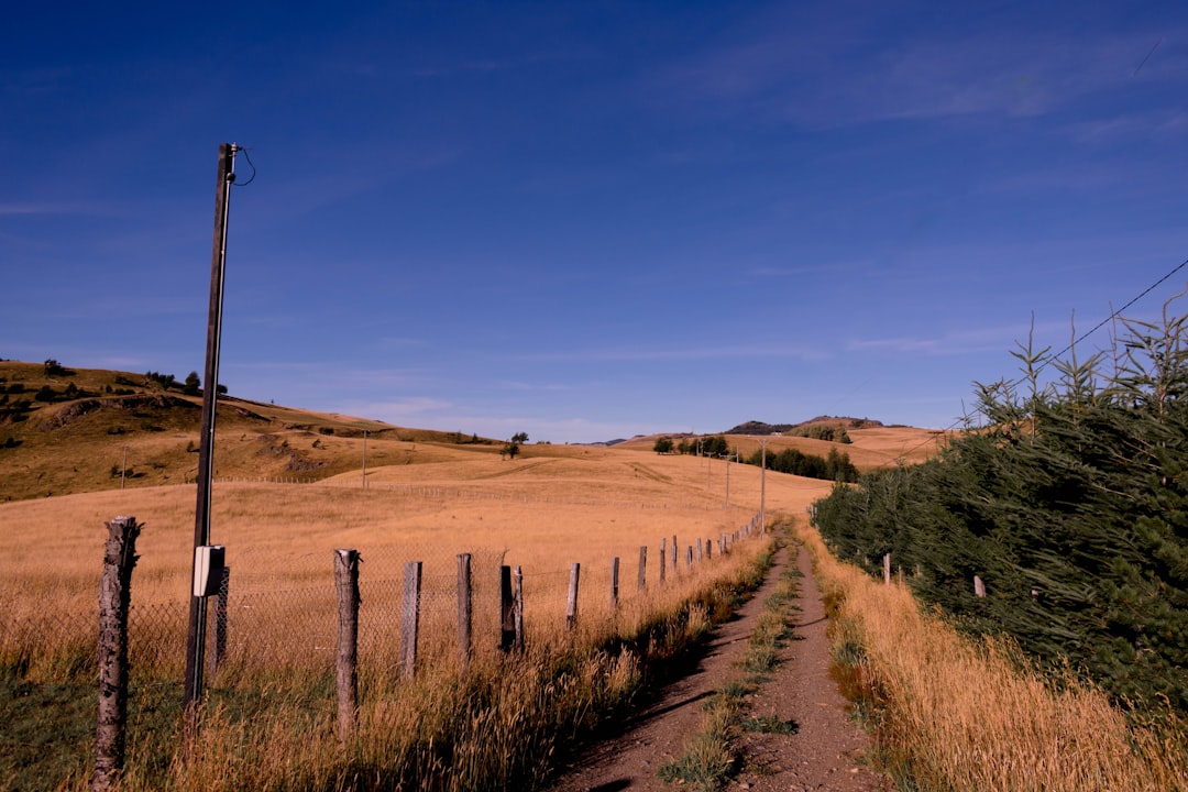 Explore Coyhaique: Patagonia’s Hidden Adventure Hub