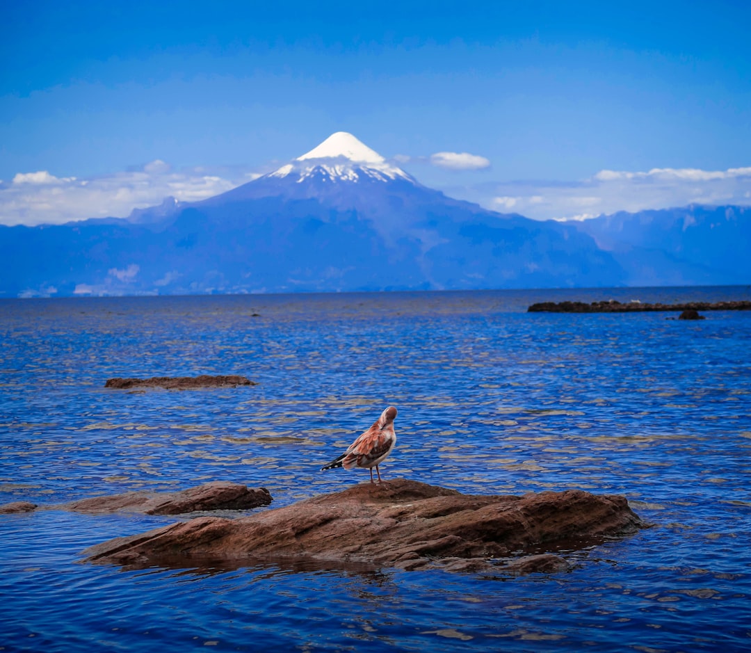 Exploring Frutillar: A Lakeside Town of Culture and Beauty