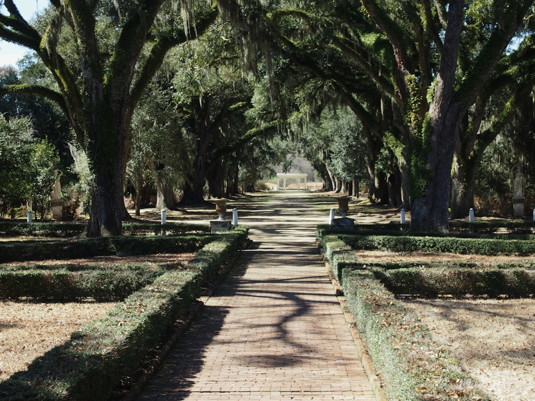 Experience La Serena: A Coastal Treasure in Northern Chile