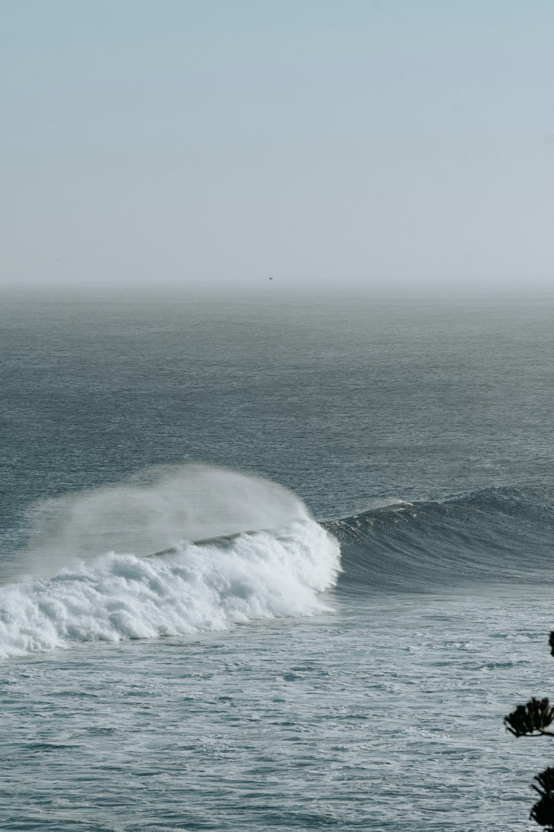 Uncover Pichilemu: Surf Culture and Coastal Charm Await