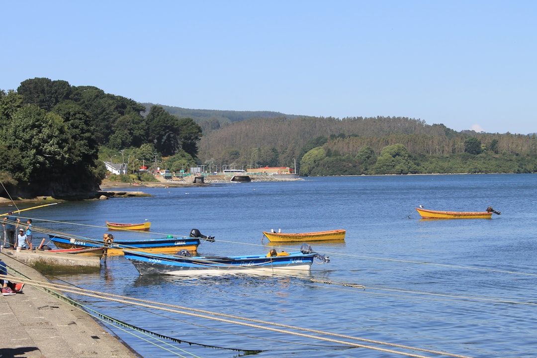 Exploring Valdivia: A Perfect Blend of Culture and Nature