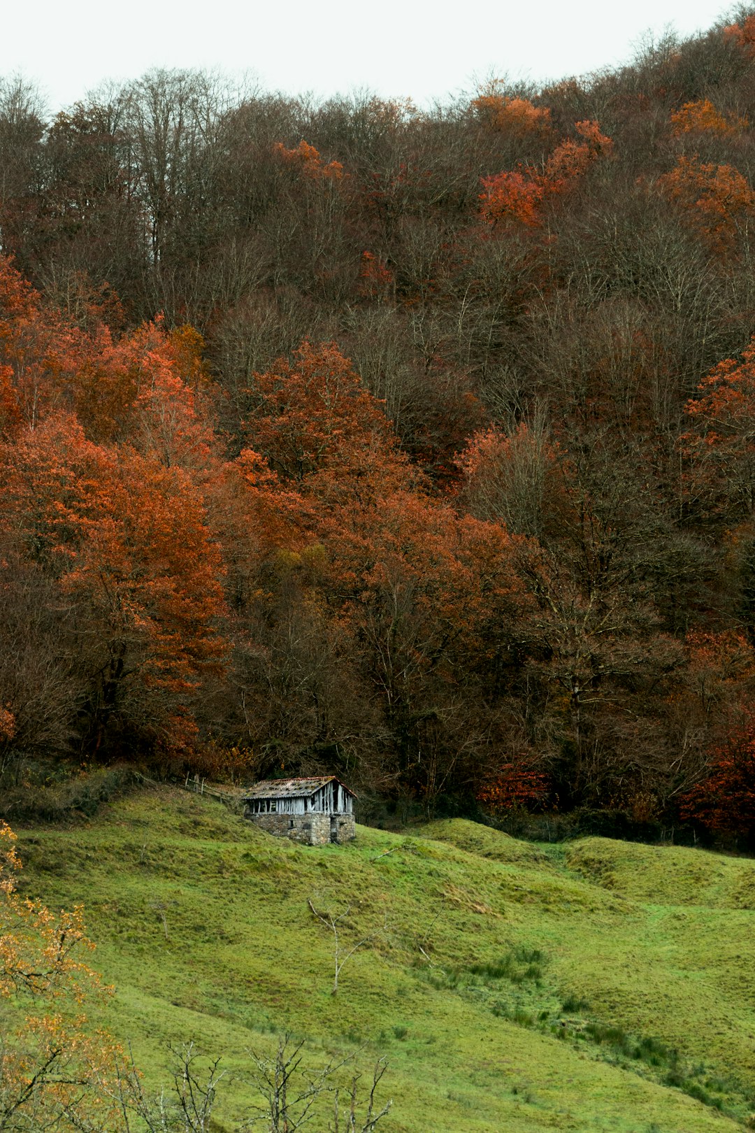 Uncover Parral: A Hidden Gem in Chile's Ñuble Region