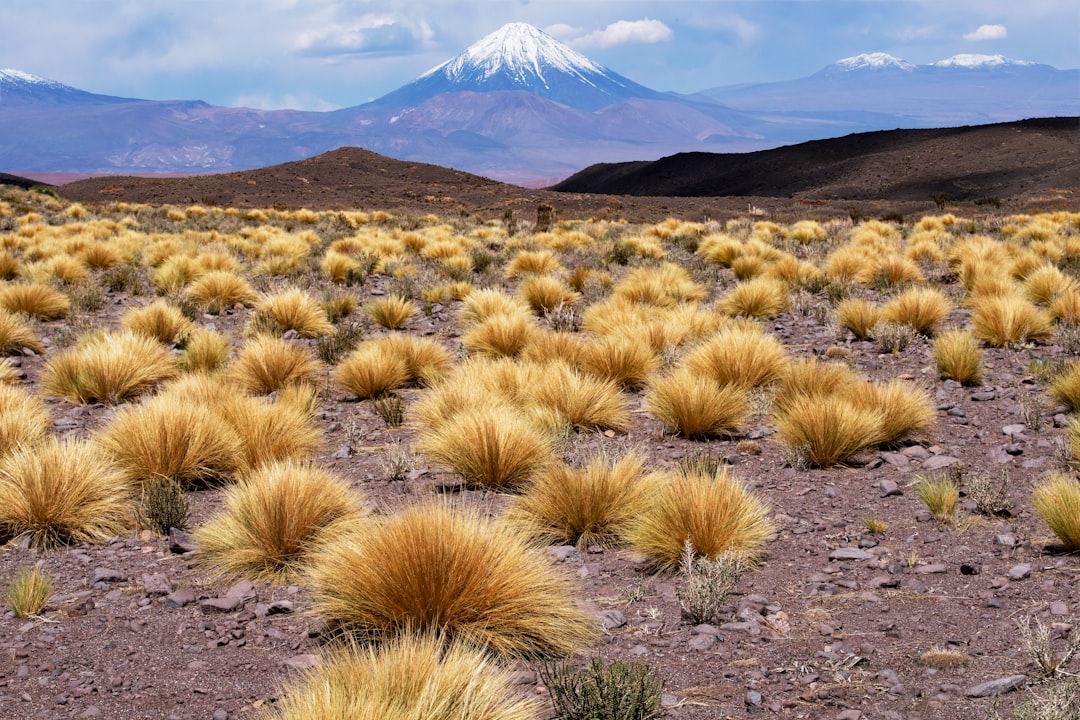 Discover Los Andes: A Hidden Gem in Chile's Mountains