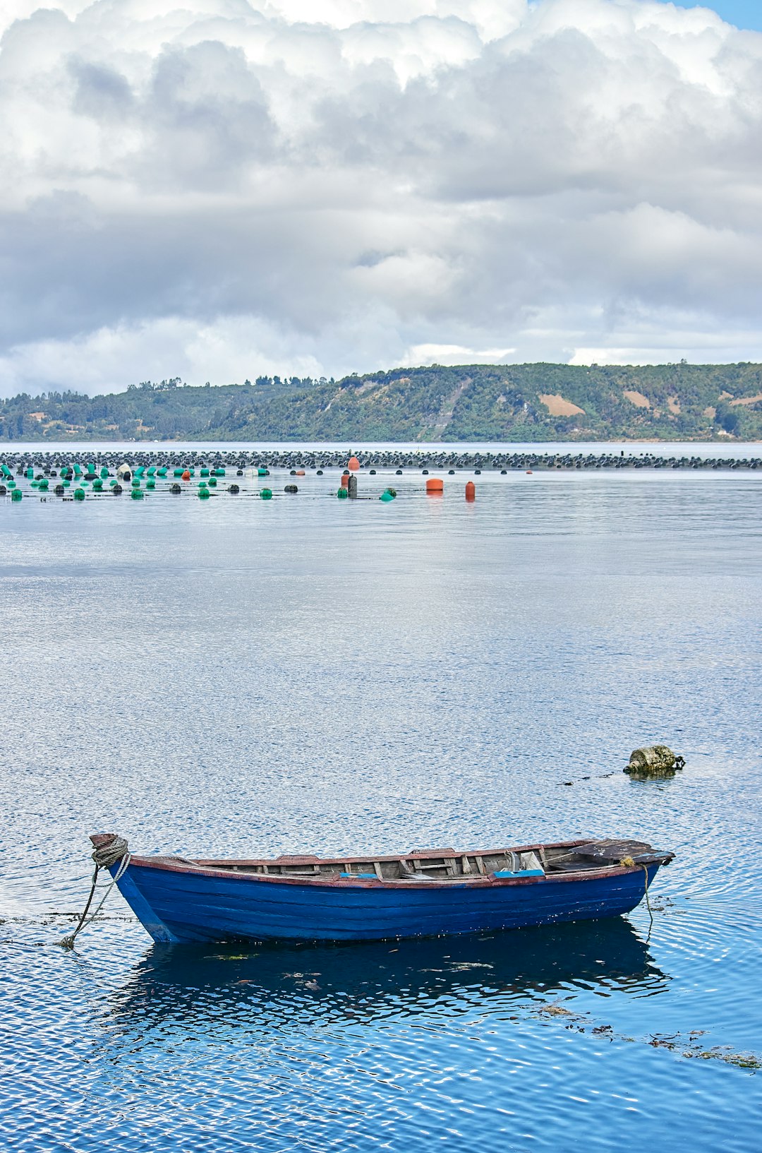 Exploring Dalcahue: A Hidden Gem in Chiloé, Chile