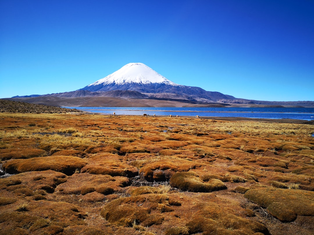 Unveiling Arica: Chile’s Northernmost City Awaits You