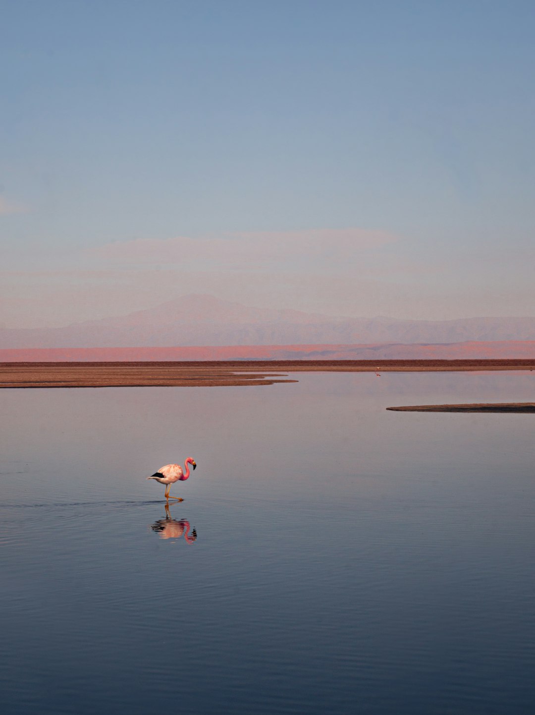 Exploring Antofagasta: Discover Chile's Coastal Treasure