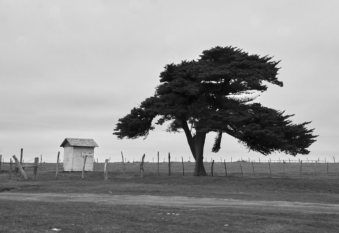 Unveiling Pichilemu: Surfing and Beaches on Chile's Coast