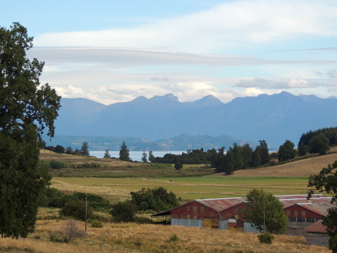 Exploring Futrono: A Hidden Gem in Southern Chile