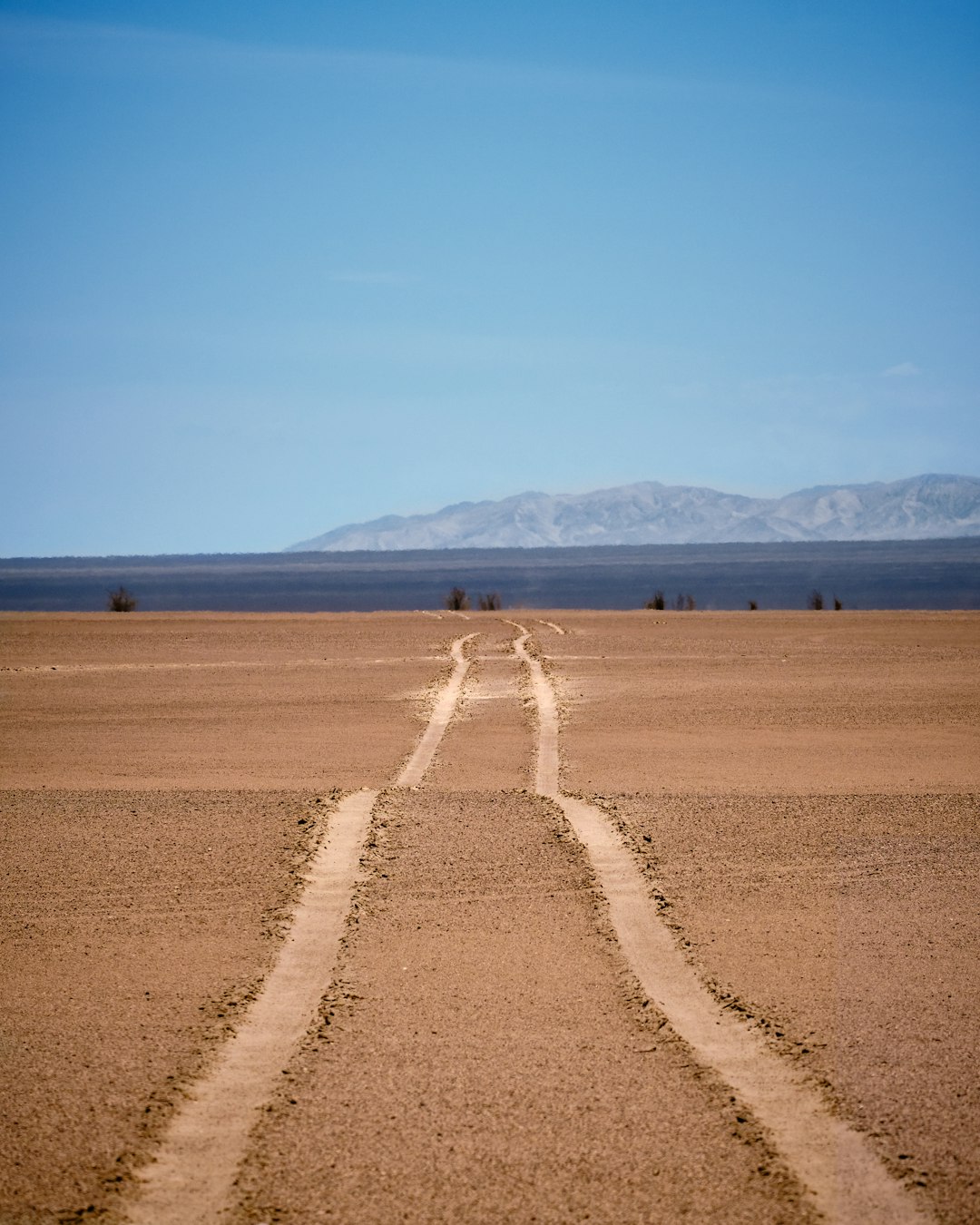 Discover Pica: A Hidden Oasis in Northern Chile