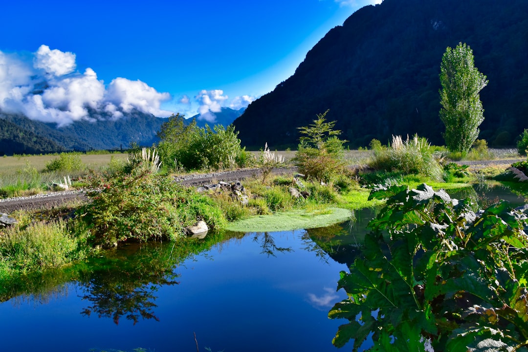 Experience Puerto Varas: Nature, Culture, and Cuisine Awaits