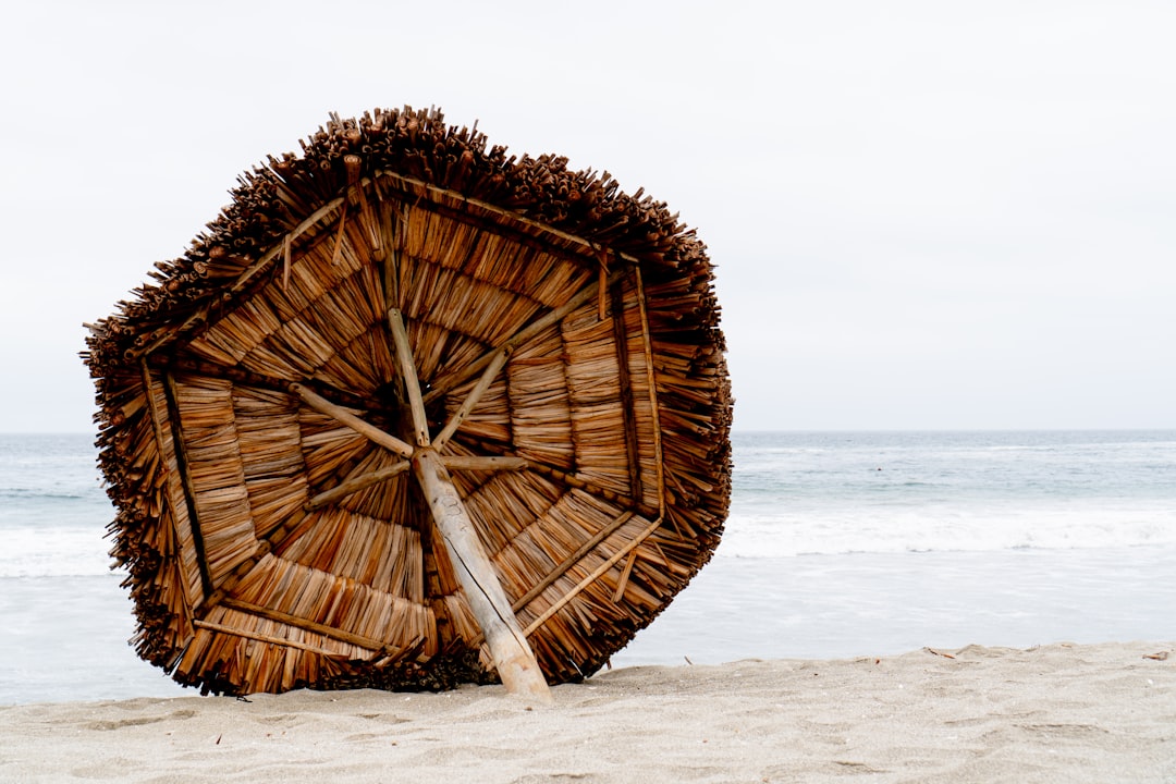 Explore Tongoy: A Hidden Coastal Gem in Chile