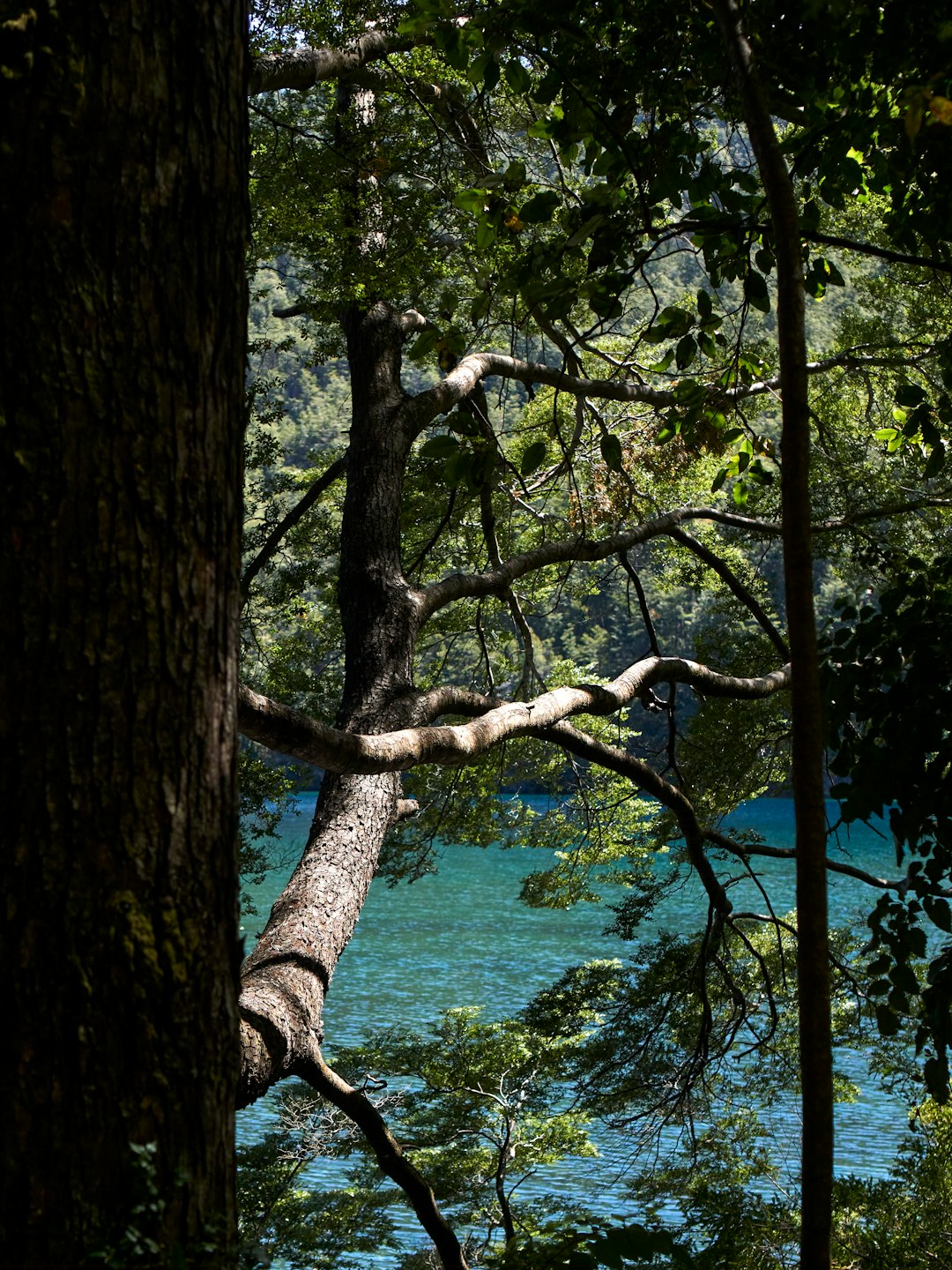 Adventure Awaits in Cochamó Valley: A Hidden Chilean Gem