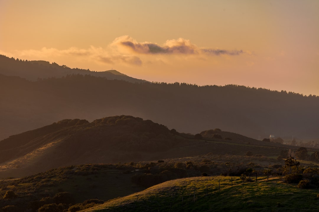 Explore San Fernando: A Hidden Gem in Chile's Colchagua Valley