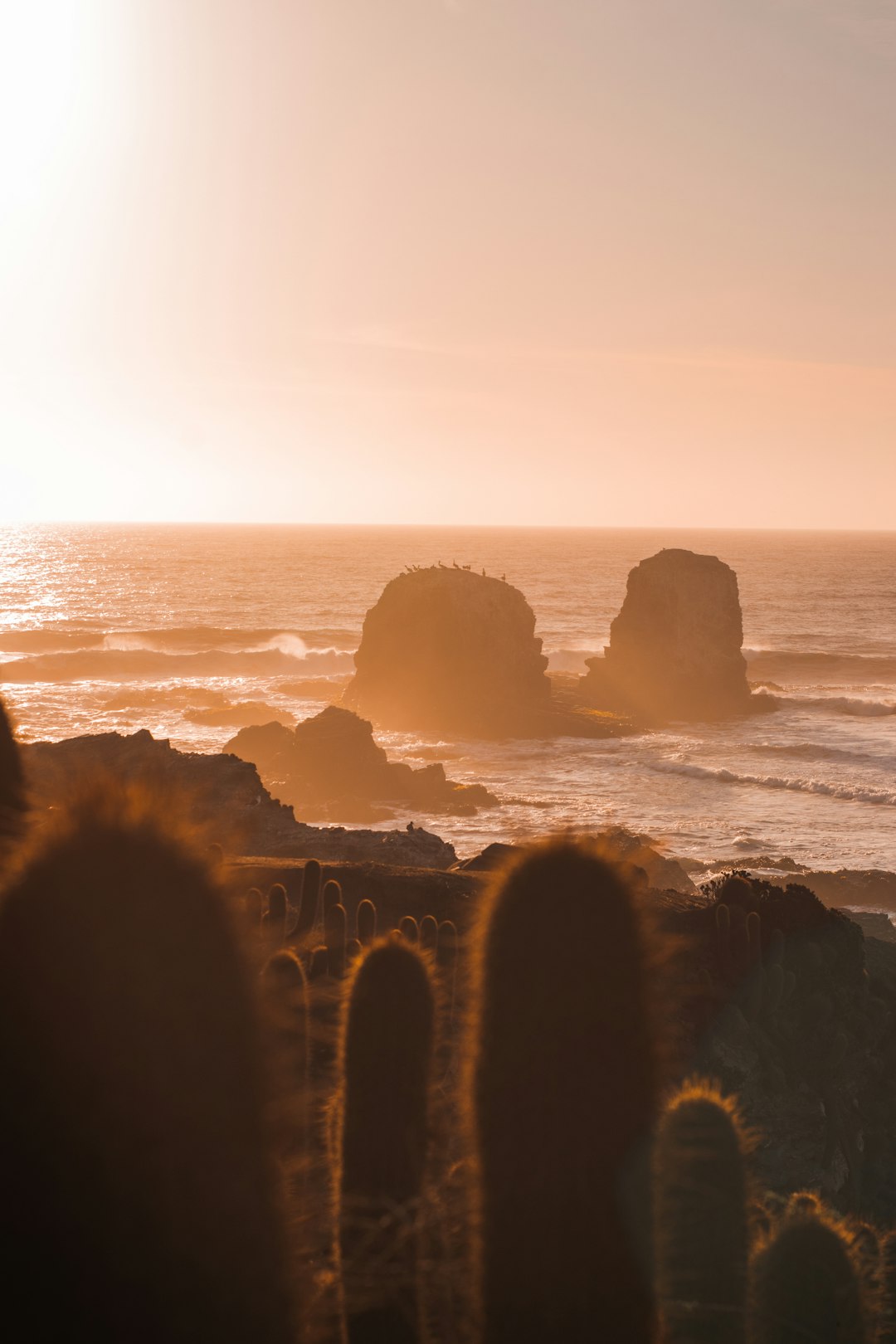 Experience Pichilemu: Surf, Culture, and Coastal Beauty