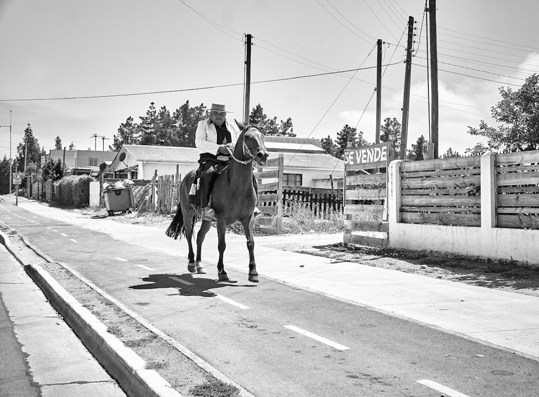 Unwind in Pichilemu: Surf, Culture, and Coastal Beauty