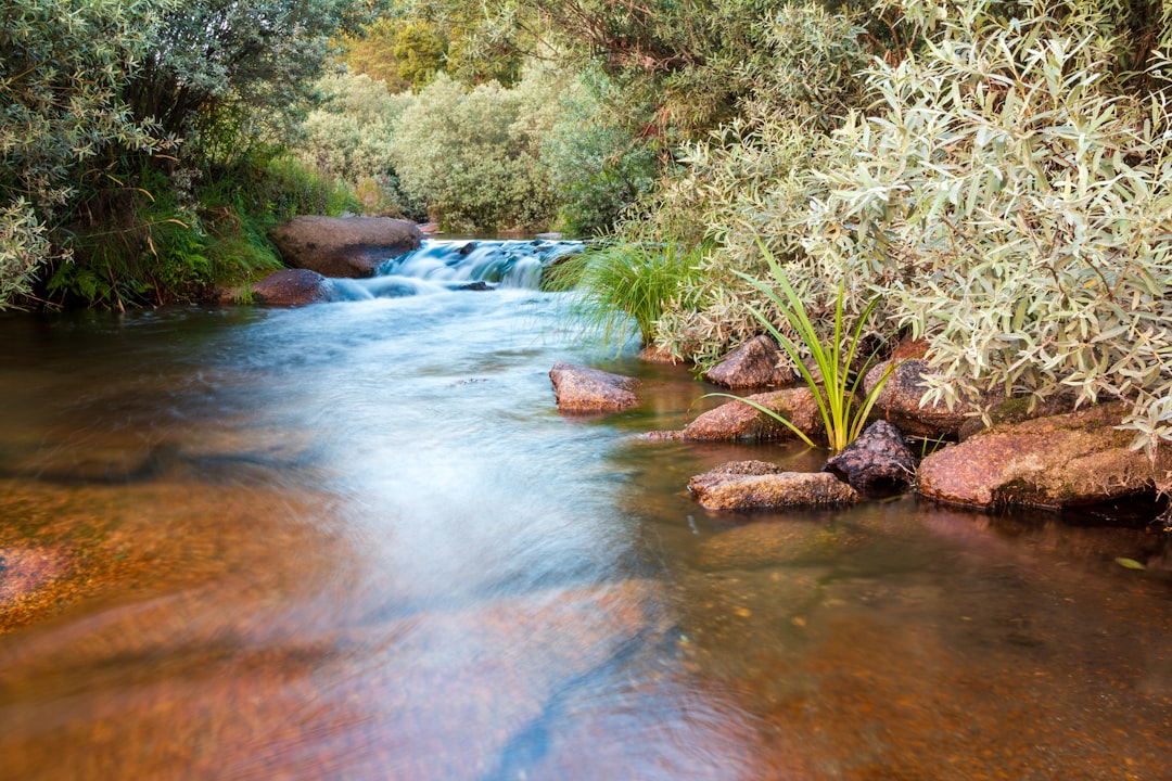 Río Hurtado: A Hidden Gem in Chile's Coquimbo Region