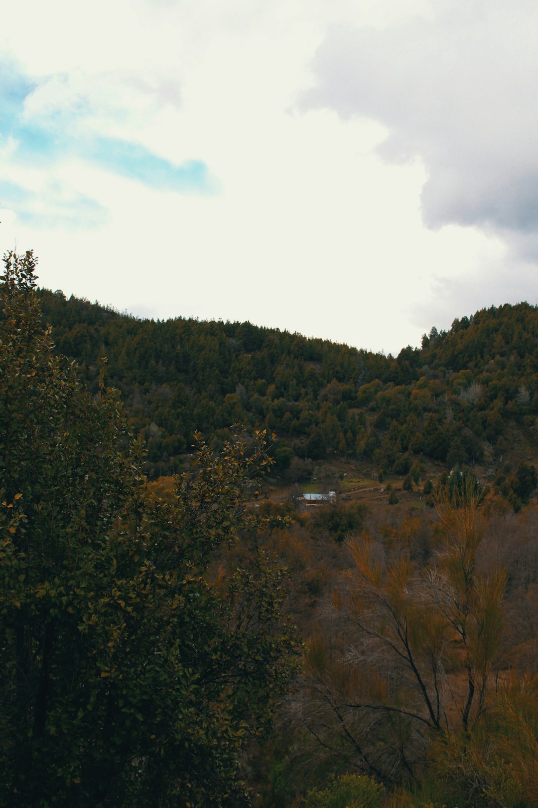 Explore Cerro Castillo: A Hidden Gem in Chilean Patagonia