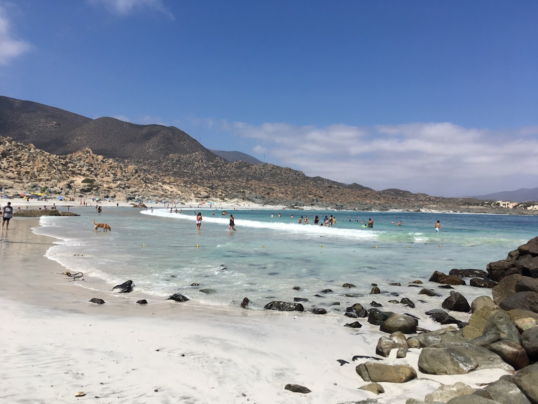 Discover Totoralillo: Chile's Hidden Coastal Paradise